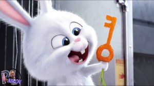 ТАЙНАЯ ЖИЗНЬ ДОМАШНИХ ЖИВОТНЫХ -ПОДРОБНЫЙ ОБЗОР ВСЕХ ЧАСТЕЙ