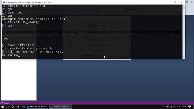 Execute o SQL Server no Docker смотреть онлайн