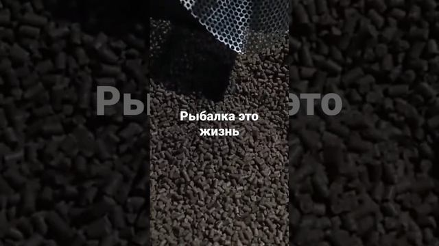 рыбалка это жизнь, пелец для рыбалки фирма СК любой по вкусу смотреть онлайн