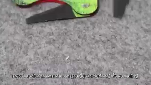 ใบตัดหญ้าดาวกระจาย หมดกังวล เจอหิน ไม้ смотреть онлайн