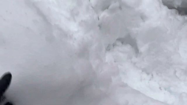 VK540 Grooming, KLIM Gear Test, Getting Unstuck