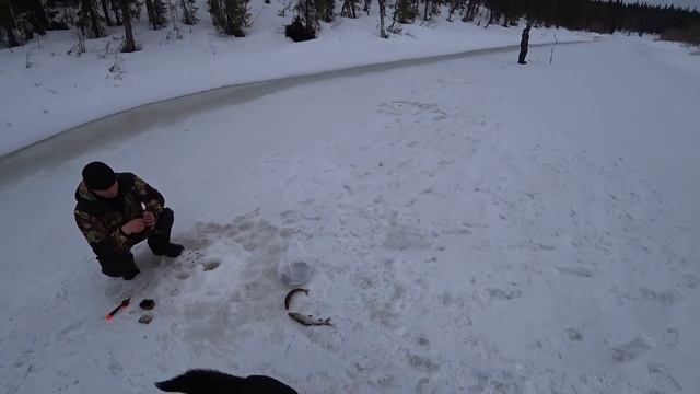 Экстремальная рыбалка на хариуса в дикой тайге. Последний лёд. Таёжное путешествие. смотреть онлайн