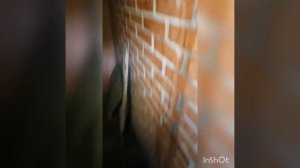 Лада Vesta - снятие поддона двигателя, без снятия КПП. Как открутить "неоткручиваемые" 2 болта!)