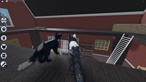 МЫ СТАЛИ КОТАМИ НА 24 ЧАСА / Warrior Cats ROBLOX