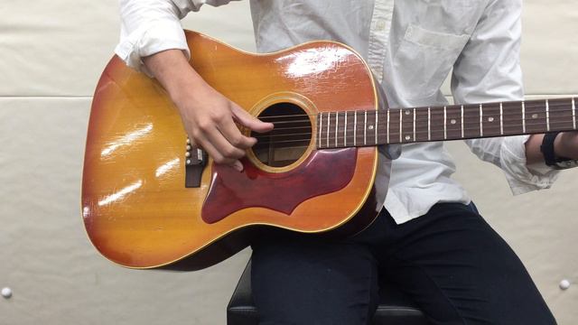 Gibson J-45 1965 смотреть онлайн