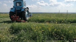 Сенокос на тракторе Т 40