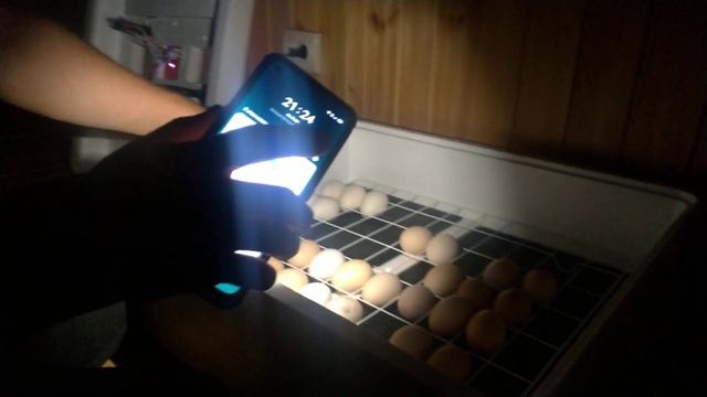 Овоскопироваю куриные яйца. Покажу неоплод и кровяное кольцо. смотреть онлайн