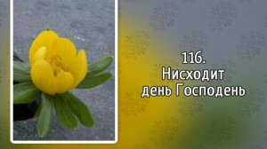 Гимны надежды 116 Нисходит день Господень (-)