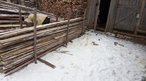 Горбыль пилить на дрова 1 часть , горбыль или чурками выгодно .как пилить горбыль  ?