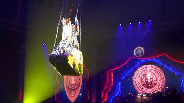 «Дикий мир джунглей». Людмила Суркова, Гия Эрадзэ. Россия смотреть онлайн