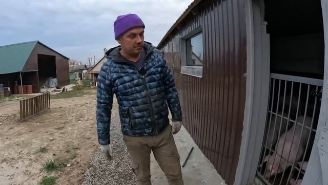 Скільке БАБЛА пішло на Сарай, кап-ремонт тачки для навозу.