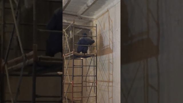 Утепление стен и кровли склада жестким пенополиуретаном. смотреть онлайн