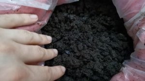 Выгружаем биогумус (вермикомпост) из вермикомпостера. Как применять вермикомпост?