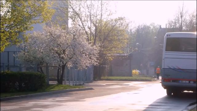 влог - белая весна в Риге, мимоза и другие)) смотреть онлайн