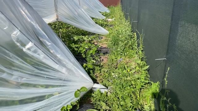 Балаганы - туннели. Минусы и плюсы. 8 соток. смотреть онлайн