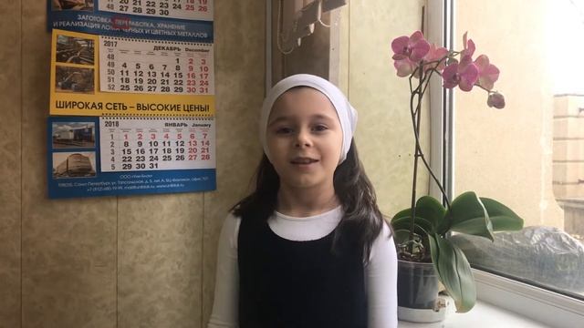 Страна читающая — Сафийат Бачаева читает произведение «Солнце-одно...» М. И. Цветаевой смотреть онлайн