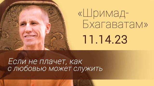 Лекция 5 - ШБ 11.14.23 Если не плачет, как с любовью может служить. Е.М. Нанда Бихари прабху. смотреть онлайн