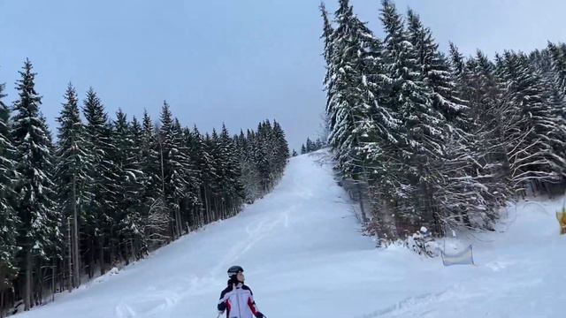 Буковель.Какие трассы открыты 18.12.21 смотреть онлайн