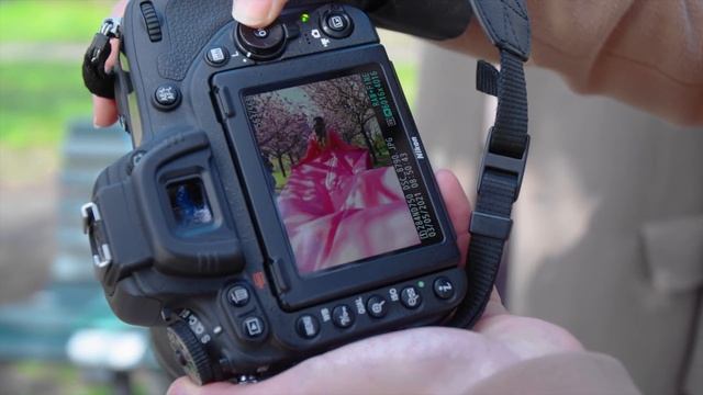 Берлин цветёт: самые инстаграмные места