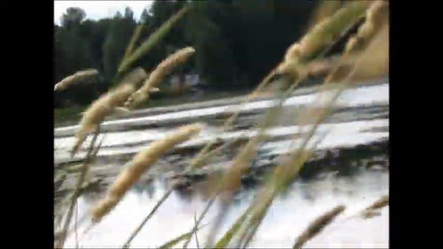 Охота! смотреть онлайн