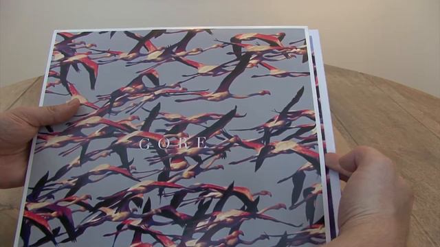 Unboxing of DEFTONES - "GORE" LP смотреть онлайн