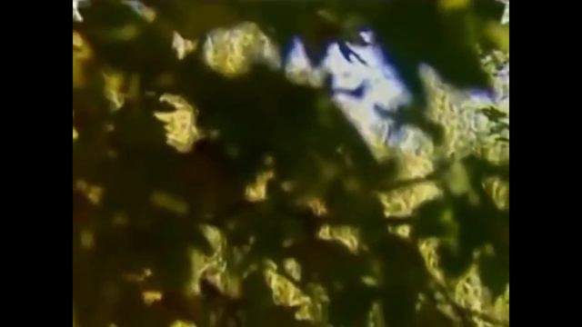 Flora Martirosyan - Lanjer Marjan (Armenian Song)