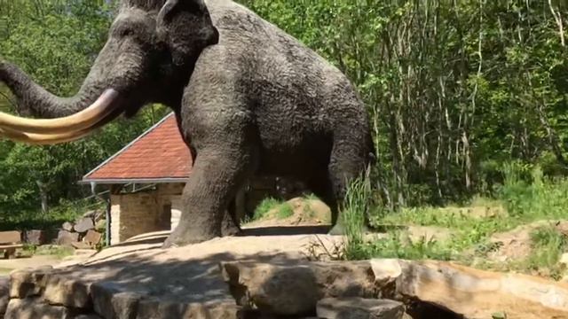 Прогулка в парке "юрского периода"🦕.часть 1 смотреть онлайн