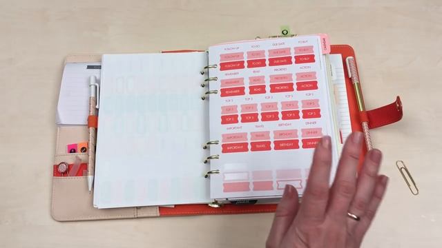 Мой офисный ежедневник KikkiK Large Blush Tangerine за прошлый год смотреть онлайн