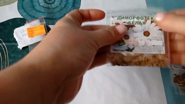 Семена цветов на сезон 2022 смотреть онлайн