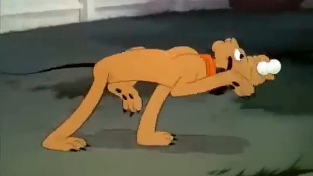 Pluto Cartoon | The Sleepwalker