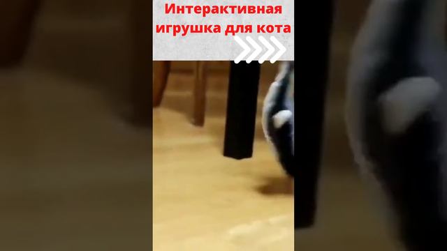 Интерактивная игрушка  Кот в шоке! #shorts #кот #tinytuna