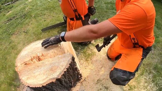 $7,000 TREE REMOVAL JOB! смотреть онлайн