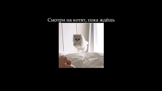 Культурология(Семинар) 01.12.22 - запись пары смотреть онлайн