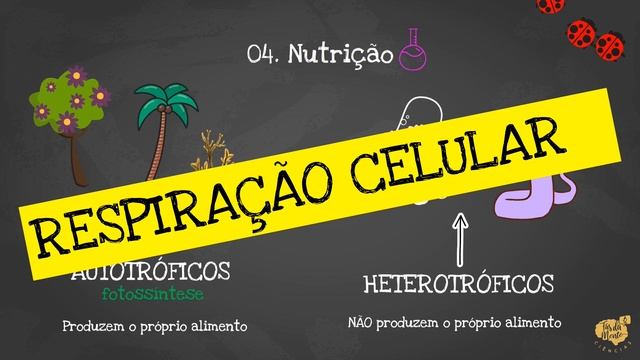 CARACTERÍSTICAS GERAIS DOS SERES VIVOS - Ensino Fundamental смотреть онлайн