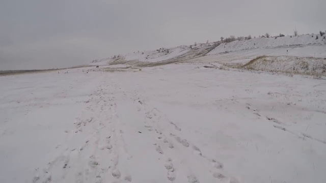 Сайга TG2 - Чуда не произошло .......