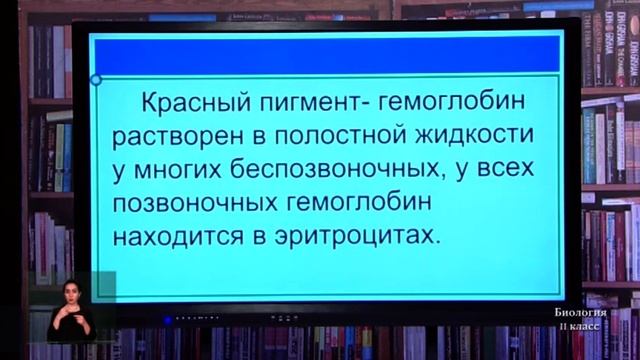 11-класс. Урок биологии. 20.04.2020 г. смотреть онлайн