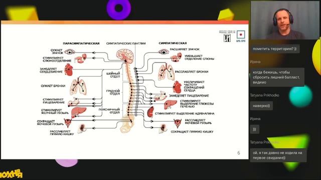 Фитнес на каждый день с улыбкой 