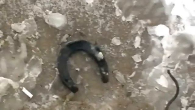 коп на десне в подмосковье