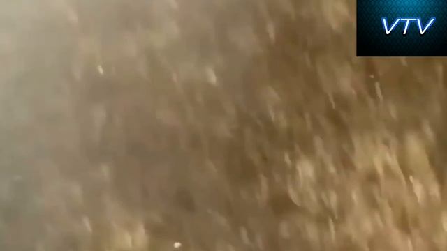 Попробуй не заплакать от смеха! смотреть онлайн