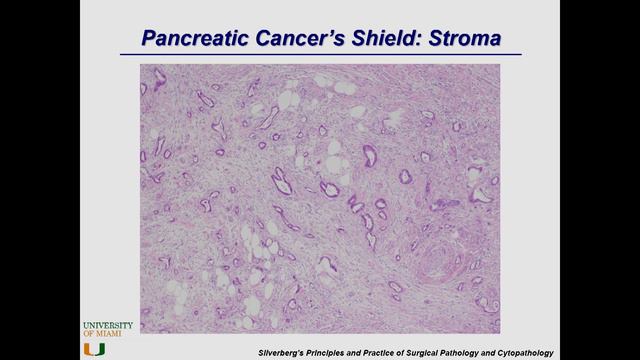 Dr. Ashok Saluja: New Drug Therapies смотреть онлайн
