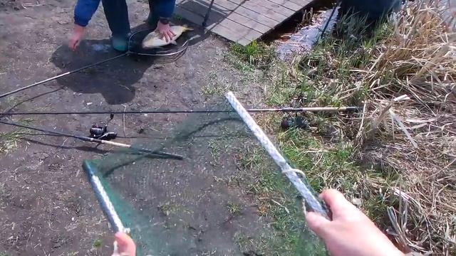 Фидерная рыбалка на карпа. Платный пруд "Дальний Раг" смотреть онлайн