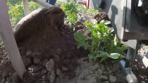 Хорошие дисковые окучники для мотоблока.