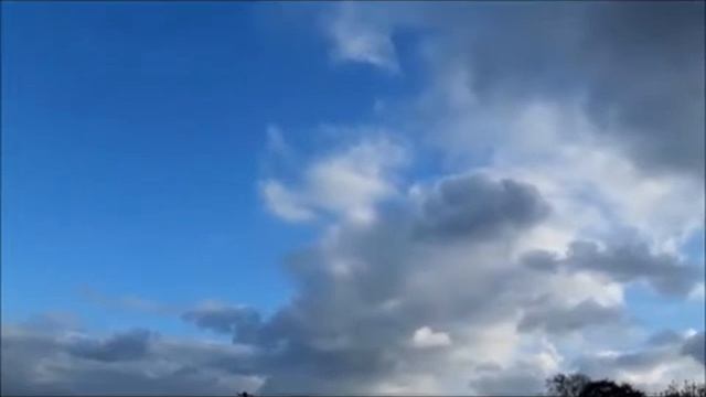 Бабушки и Дедушки