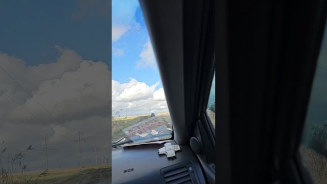 Кактус Холмская смотреть онлайн