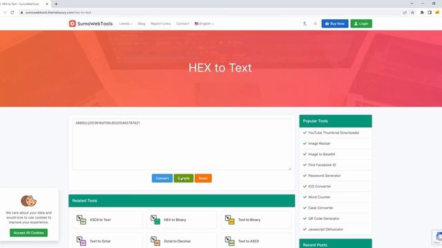 HEX to Text | SumoWebTools смотреть онлайн