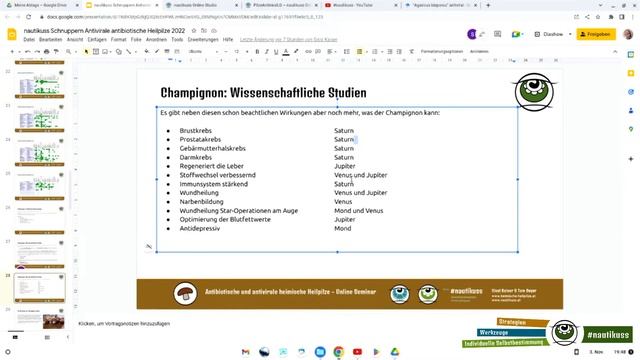 antivirale und antibiotische Heilpilze / 2ter Schnupperkurs Teil 2 смотреть онлайн