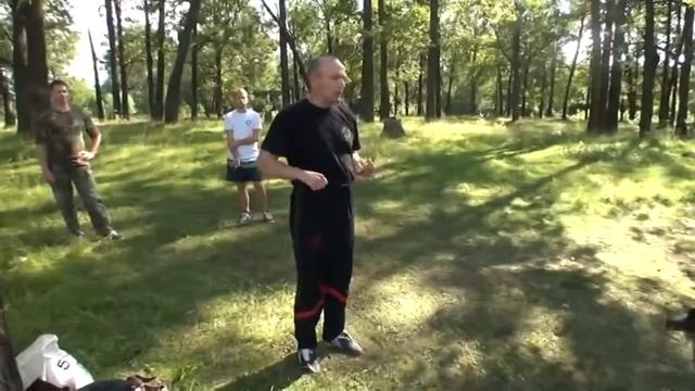 Wing Chun Stikhiya. Прикладной Вин Чунь. Общие моменты в технике. смотреть онлайн