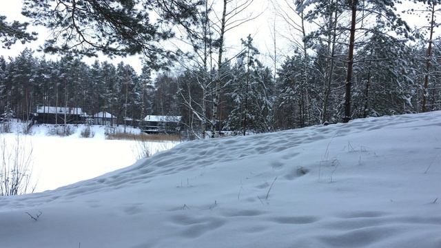 4K(UHD) Зимний лес в Нижегородской области. смотреть онлайн