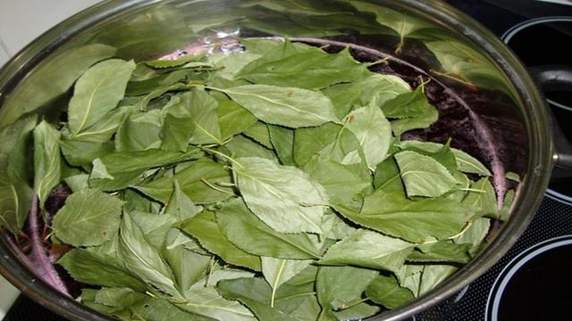 Сборник рецептов