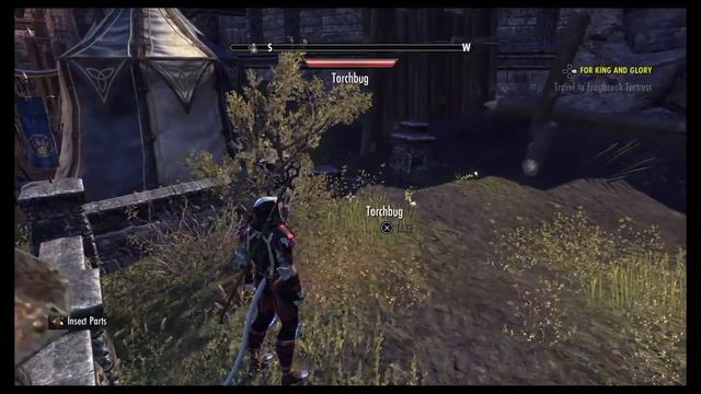 Fishing Bait Farming (Insect Parts) - Daggerfall Covernant - Elder Scrolls Online